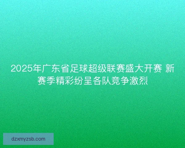 2025年广东省足球超级联赛盛大开赛 新赛季精彩纷呈各队竞争激烈