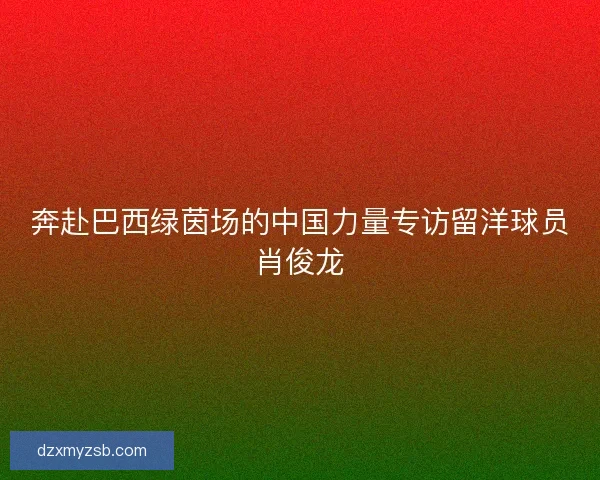 奔赴巴西绿茵场的中国力量专访留洋球员肖俊龙 奔赴巴西绿茵场的中国力量专访留洋球员肖俊龙